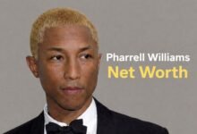 Pharrell williams net worth